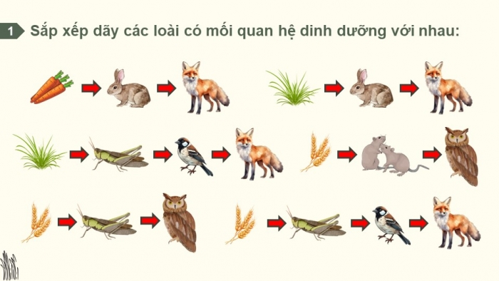 Giáo án điện tử Sinh học 12 kết nối Bài 29: Trao đổi vật chất và chuyển hoá năng lượng trong hệ sinh thái