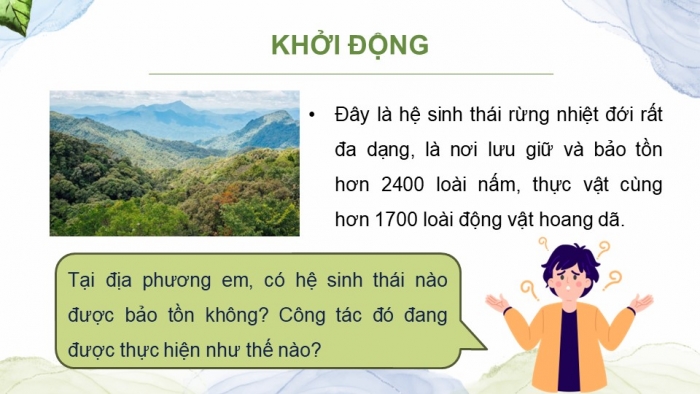 Giáo án điện tử Sinh học 12 kết nối Bài 35: Dự án Tìm hiểu thực trạng bảo tồn sinh thái tại địa phương và đề xuất giải pháp bảo tồn