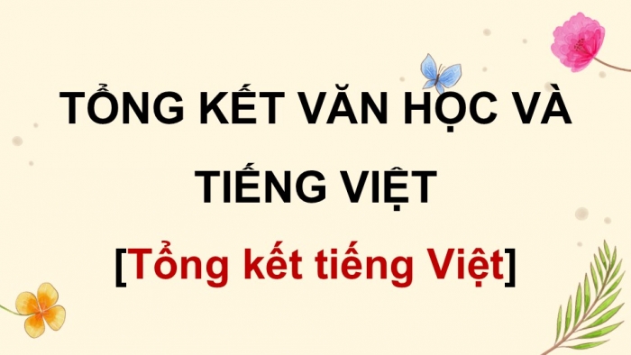 Giáo án điện tử Ngữ văn 9 cánh diều Bài Tổng kết về tiếng Việt