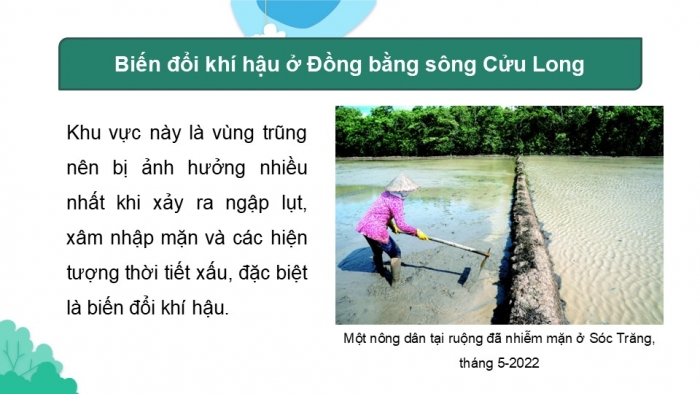 Giáo án điện tử Địa lí 9 chân trời Bài 22: Thực hành Phân tích tác động của biến đổi khí hậu đối với Đồng bằng sông Cửu Long