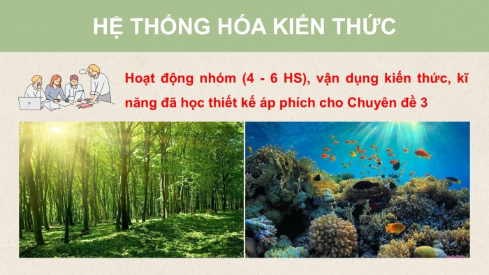 Giáo án điện tử chuyên đề Sinh học 12 cánh diều Ôn tập CĐ 3