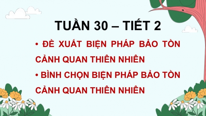 Giáo án điện tử Hoạt động trải nghiệm 5 chân trời bản 1 Chủ đề 8 Tuần 30