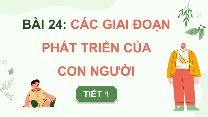 Giáo án điện tử Khoa học 5 chân trời Bài 24: Các giai đoạn phát triển của con người