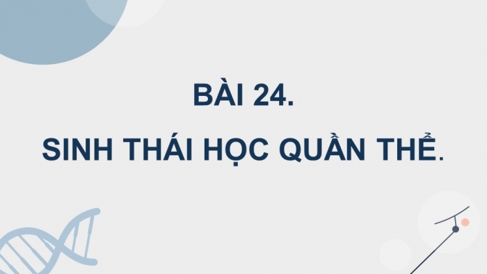 Giáo án điện tử Sinh học 12 kết nối Bài 24: Sinh thái học quần thể