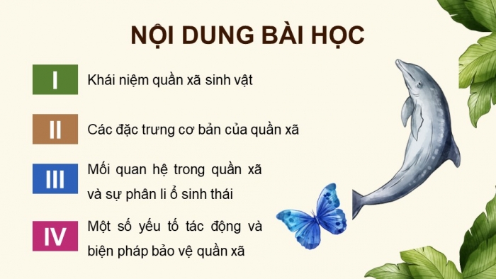 Giáo án điện tử Sinh học 12 kết nối Bài 26: Quần xã sinh vật