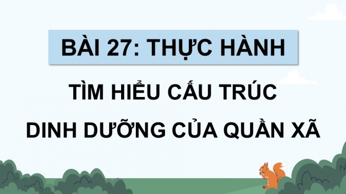 Giáo án điện tử Sinh học 12 kết nối Bài 27: Thực hành Tìm hiểu cấu trúc dinh dưỡng của quần xã trong tự nhiên