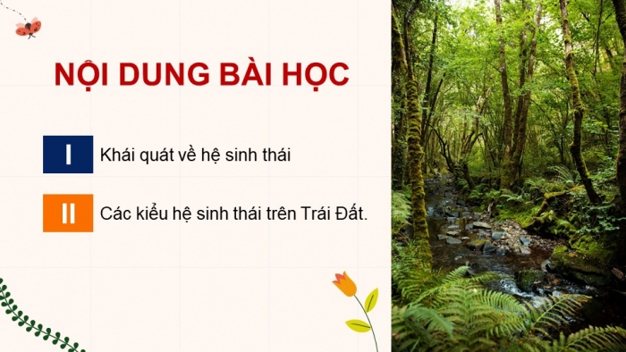 Giáo án điện tử Sinh học 12 kết nối Bài 28: Hệ sinh thái