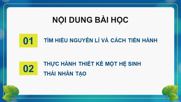 Giáo án điện tử Sinh học 12 kết nối Bài 32: Thực hành Thiết kế một hệ sinh thái nhân tạo