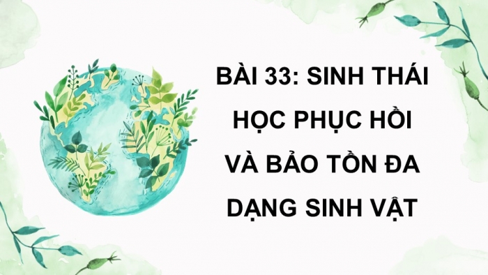 Giáo án điện tử Sinh học 12 kết nối Bài 33: Sinh thái học phục hồi và bảo tồn đa dạng sinh vật