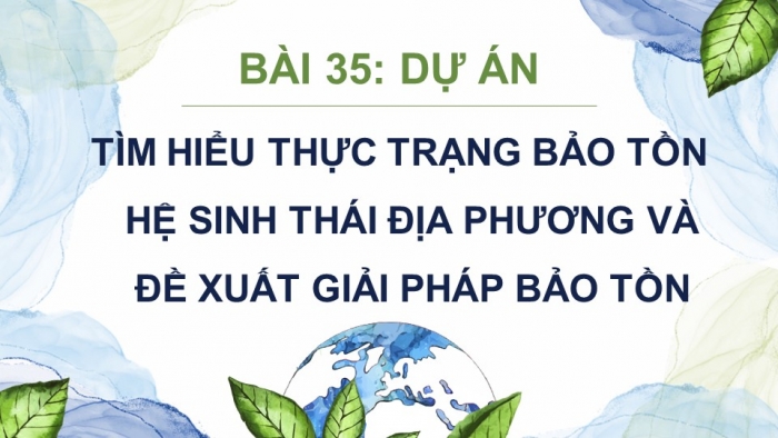 Giáo án điện tử Sinh học 12 kết nối Bài 35: Dự án Tìm hiểu thực trạng bảo tồn sinh thái tại địa phương và đề xuất giải pháp bảo tồn