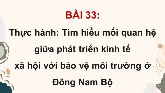 Giáo án điện tử Địa lí 12 chân trời Bài 33: Thực hành Tìm hiểu mối quan hệ giữa phát triển kinh tế – xã hội với bảo vệ môi trường ở Đông Nam Bộ