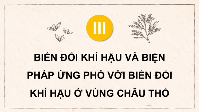 Giáo án điện tử Địa lí 9 cánh diều Chủ đề chung 2: Văn minh châu thổ sông Hồng và sông Cửu Long (P2)