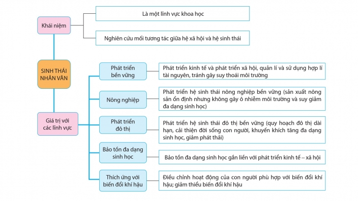 Giáo án điện tử chuyên đề Sinh học 12 cánh diều Ôn tập CĐ 3