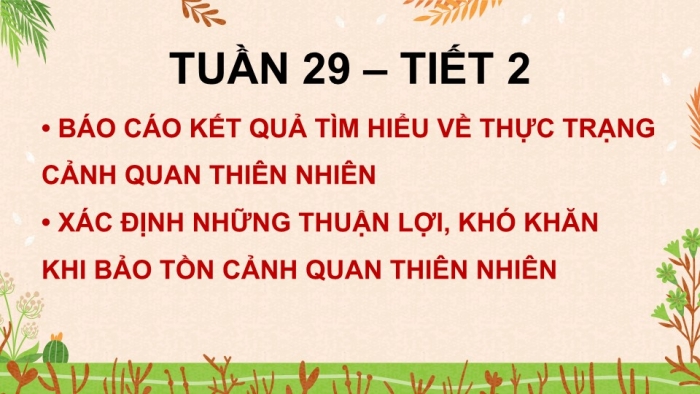 Giáo án điện tử Hoạt động trải nghiệm 5 chân trời bản 1 Chủ đề 8 Tuần 29