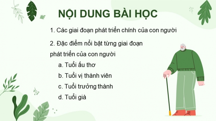 Giáo án điện tử Khoa học 5 chân trời Bài 24: Các giai đoạn phát triển của con người