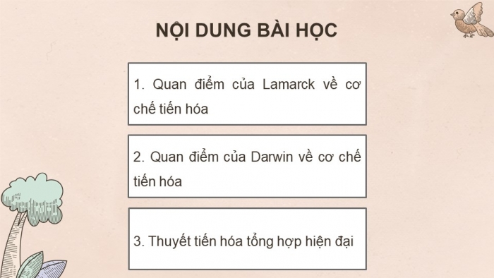 Giáo án điện tử KHTN 9 chân trời - Phân môn Sinh học Bài 47: Cơ chế tiến hóa