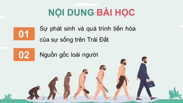 Giáo án điện tử KHTN 9 chân trời - Phân môn Sinh học Bài 48: Phát sinh và phát triển của sự sống trên Trái Đất