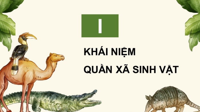 Giáo án điện tử Sinh học 12 kết nối Bài 26: Quần xã sinh vật