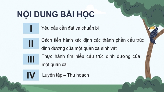 Giáo án điện tử Sinh học 12 kết nối Bài 27: Thực hành Tìm hiểu cấu trúc dinh dưỡng của quần xã trong tự nhiên