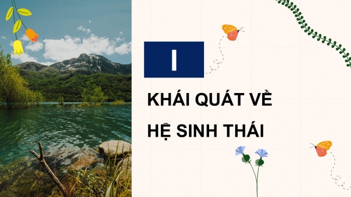 Giáo án điện tử Sinh học 12 kết nối Bài 28: Hệ sinh thái