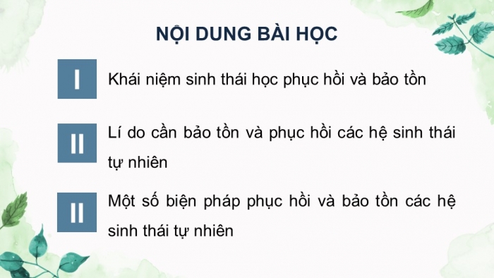 Giáo án điện tử Sinh học 12 kết nối Bài 33: Sinh thái học phục hồi và bảo tồn đa dạng sinh vật