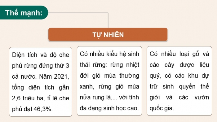 Giáo án điện tử Địa lí 12 chân trời Bài 30: Khai thác thế mạnh để phát triển kinh tế ở Tây Nguyên (P2)