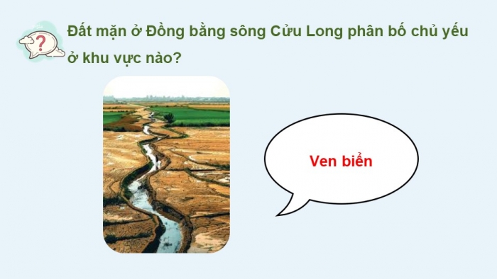 Giáo án điện tử Địa lí 12 cánh diều Bài 25: Sử dụng hợp lí tự nhiên để phát triển kinh tế ở đồng bằng sông Cửu Long