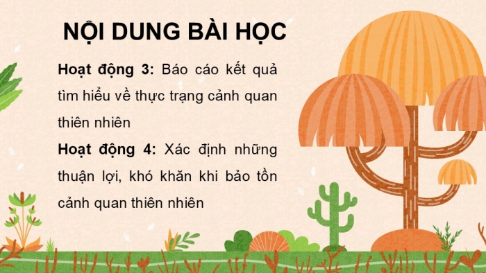 Giáo án điện tử Hoạt động trải nghiệm 5 chân trời bản 1 Chủ đề 8 Tuần 29