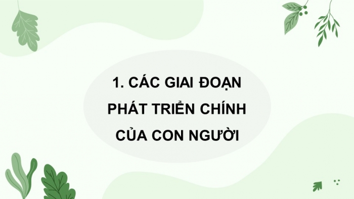 Giáo án điện tử Khoa học 5 chân trời Bài 24: Các giai đoạn phát triển của con người