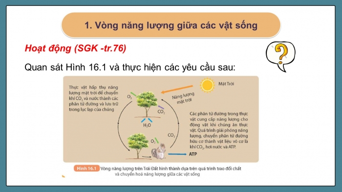 Giáo án điện tử KHTN 9 kết nối - Phân môn Vật lí Bài 16: Vòng năng lượng trên Trái Đất. Năng lượng hoá thạch