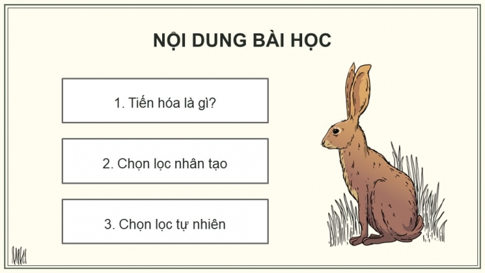 Giáo án điện tử KHTN 9 chân trời - Phân môn Sinh học Bài 46: Khái niệm về tiến hóa và các hình thức chọn lọc