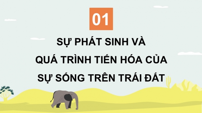 Giáo án điện tử KHTN 9 chân trời - Phân môn Sinh học Bài 48: Phát sinh và phát triển của sự sống trên Trái Đất