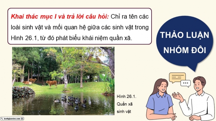 Giáo án điện tử Sinh học 12 kết nối Bài 26: Quần xã sinh vật