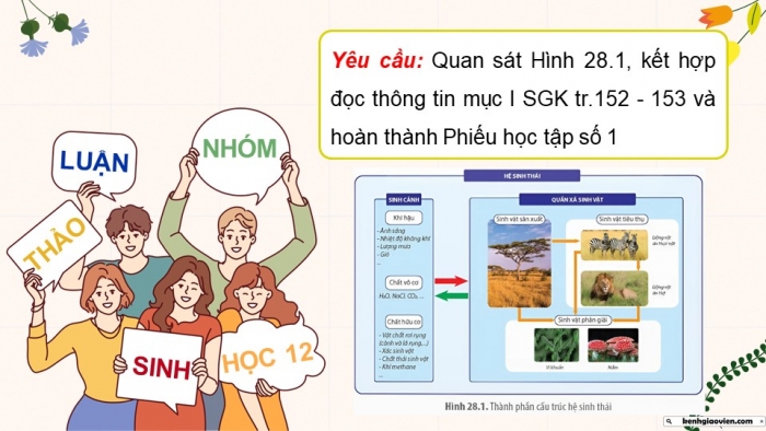 Giáo án điện tử Sinh học 12 kết nối Bài 28: Hệ sinh thái