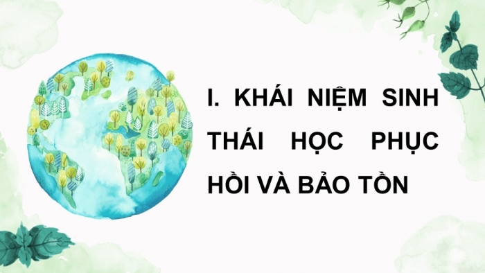 Giáo án điện tử Sinh học 12 kết nối Bài 33: Sinh thái học phục hồi và bảo tồn đa dạng sinh vật