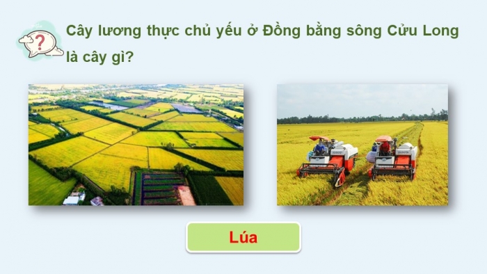 Giáo án điện tử Địa lí 12 cánh diều Bài 25: Sử dụng hợp lí tự nhiên để phát triển kinh tế ở đồng bằng sông Cửu Long