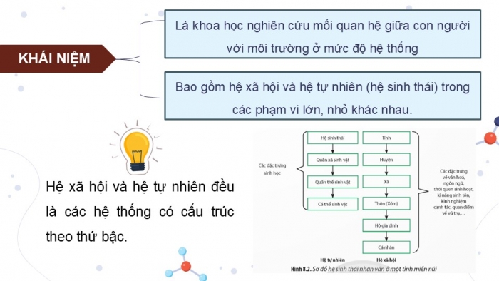 Giáo án điện tử chuyên đề Sinh học 12 chân trời Bài 8: Khái niệm và giá trị của sinh thái nhân văn