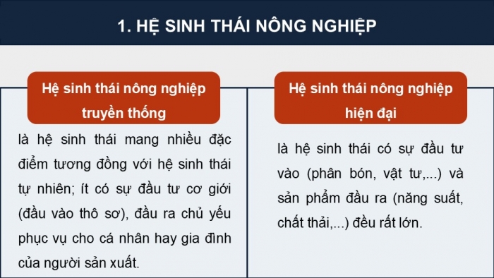 Giáo án điện tử chuyên đề Sinh học 12 chân trời Bài 9: Giá trị sinh thái nhân văn trong một số lĩnh vực