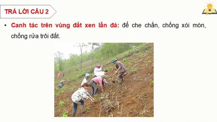 Giáo án điện tử chuyên đề Sinh học 12 chân trời Ôn tập CĐ 3