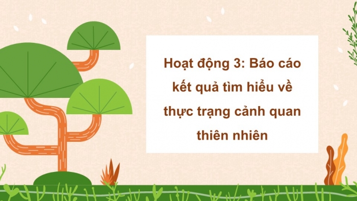 Giáo án điện tử Hoạt động trải nghiệm 5 chân trời bản 1 Chủ đề 8 Tuần 29