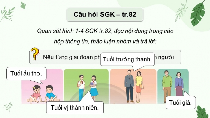 Giáo án điện tử Khoa học 5 chân trời Bài 24: Các giai đoạn phát triển của con người