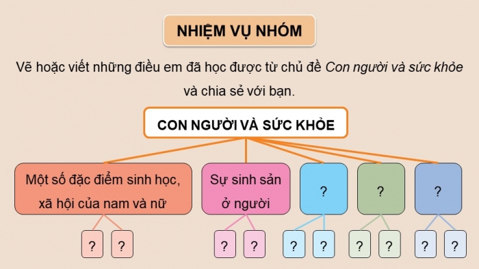 Giáo án điện tử Khoa học 5 chân trời Bài 27: Ôn tập chủ đề Con người và sức khỏe