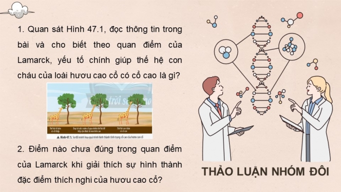 Giáo án điện tử KHTN 9 chân trời - Phân môn Sinh học Bài 47: Cơ chế tiến hóa