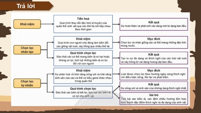 Giáo án điện tử KHTN 9 chân trời - Phân môn Sinh học Bài Ôn tập chủ đề 12