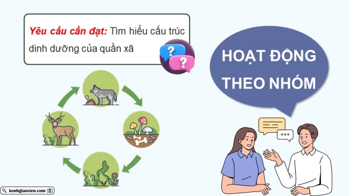 Giáo án điện tử Sinh học 12 kết nối Bài 27: Thực hành Tìm hiểu cấu trúc dinh dưỡng của quần xã trong tự nhiên