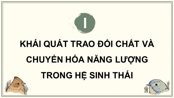 Giáo án điện tử Sinh học 12 kết nối Bài 29: Trao đổi vật chất và chuyển hoá năng lượng trong hệ sinh thái