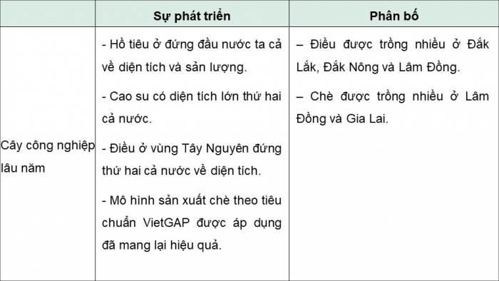 Giáo án điện tử Địa lí 12 cánh diều Bài 23: Khai thác thế mạnh để phát triển kinh tế ở Tây Nguyên (P2)