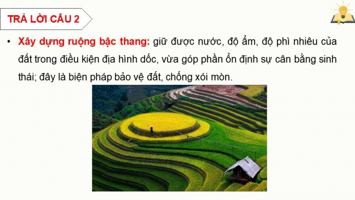 Giáo án điện tử chuyên đề Sinh học 12 chân trời Ôn tập CĐ 3