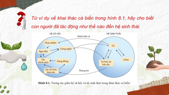 Giáo án điện tử chuyên đề Sinh học 12 cánh diều Bài 8: Sinh thái nhân văn và phát triển bền vững