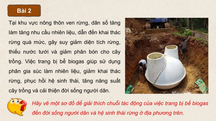 Giáo án điện tử chuyên đề Sinh học 12 cánh diều Ôn tập CĐ 3